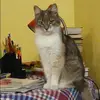 Отзыв от Антонина Киселева